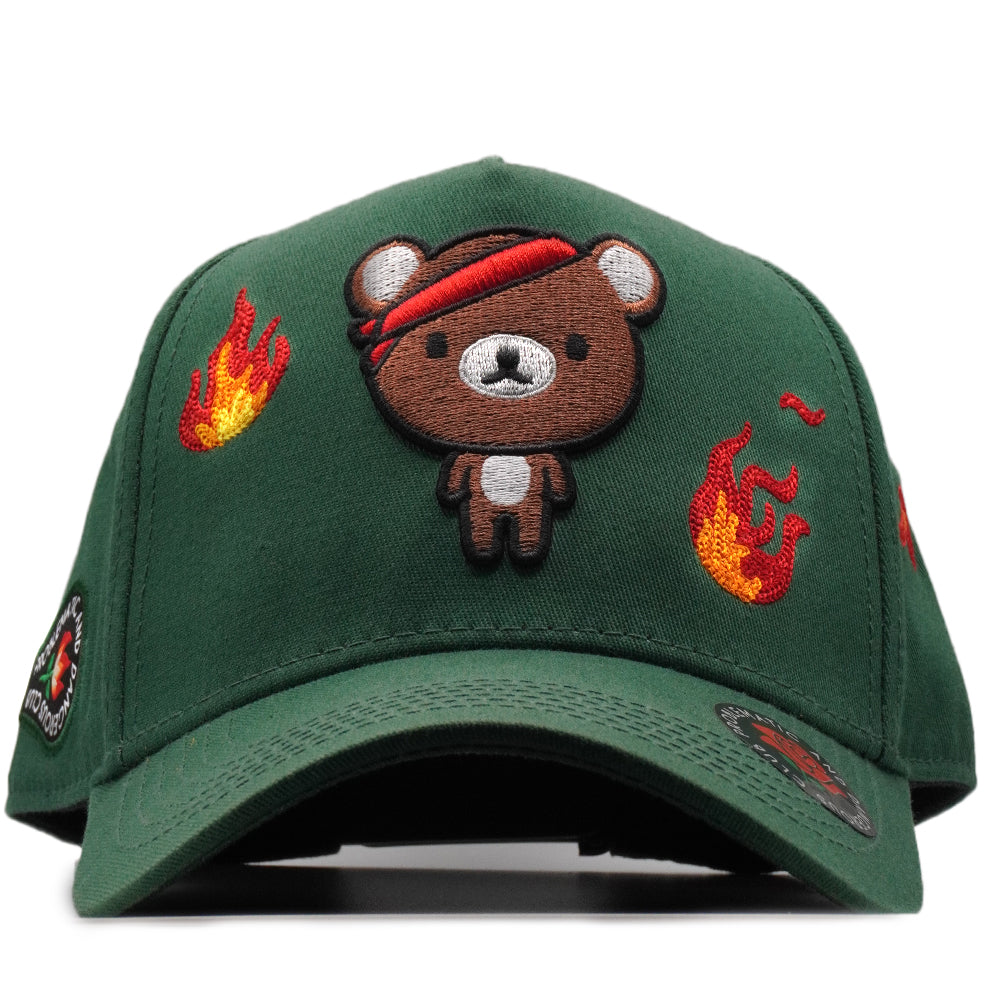Oso Verde Curva