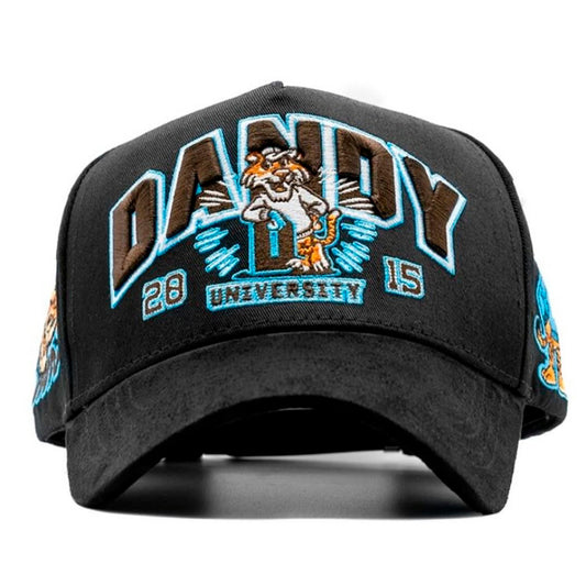 Dandy University